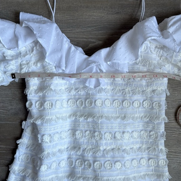 Alexis Calypso Ruffle Mini Dress - Picture 8 of 14